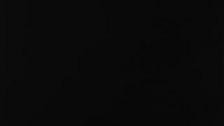 RAUVISIO Brilliant Noble Matt 2461L After Dark