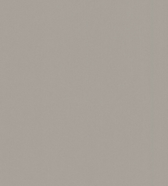 melaminas-egger-eurodekor-f509